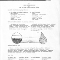NYC Green Guerilla Grenade Original Instructions