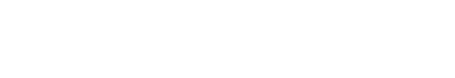 Rediscovering New York City: History is 2020